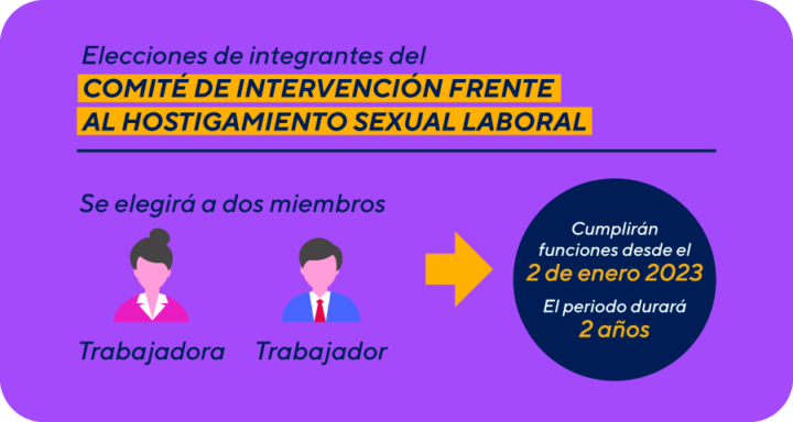 Comit De Intervenci N Frente Al Hostigamiento Sexual Laboral